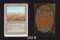 Scrubland - #102b